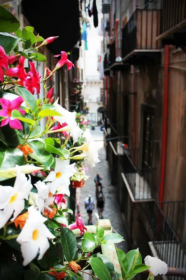 Palazzo Delle Logge Bed & Breakfast Palermo