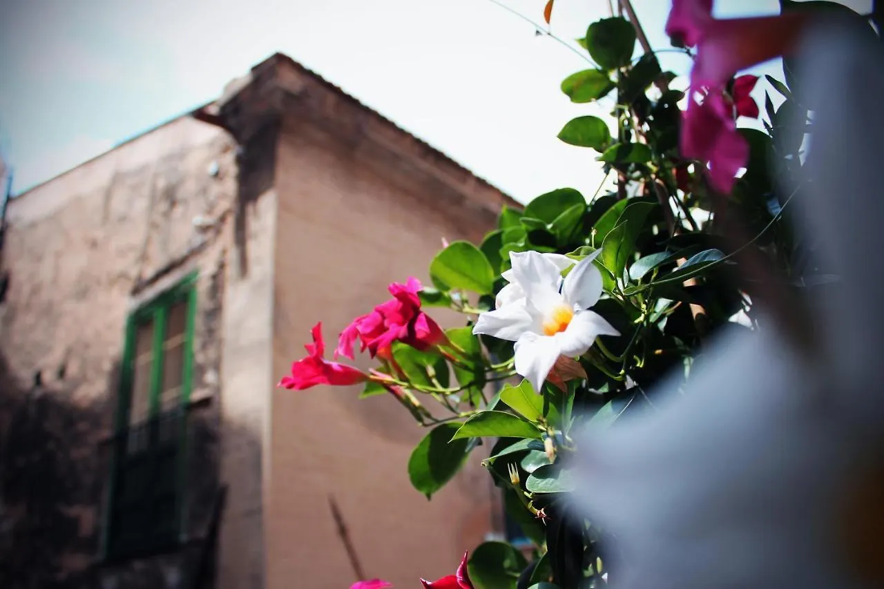 Palazzo Delle Logge Bed & Breakfast Palermo